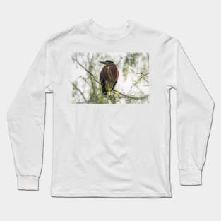 Green Heron Perched Long Sleeve T-Shirt